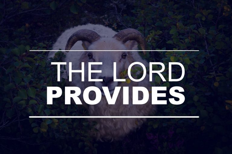 The Lord Provides