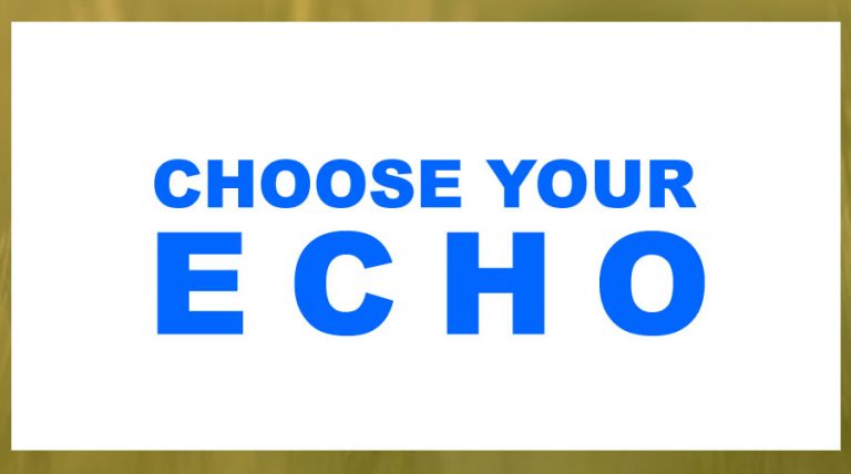 Choose Your Echo